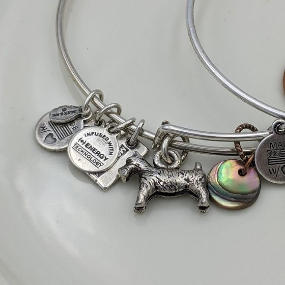 Alex and Ani Rafaleian Silver Dog Int. E Bracelets - Picture 4 of 8